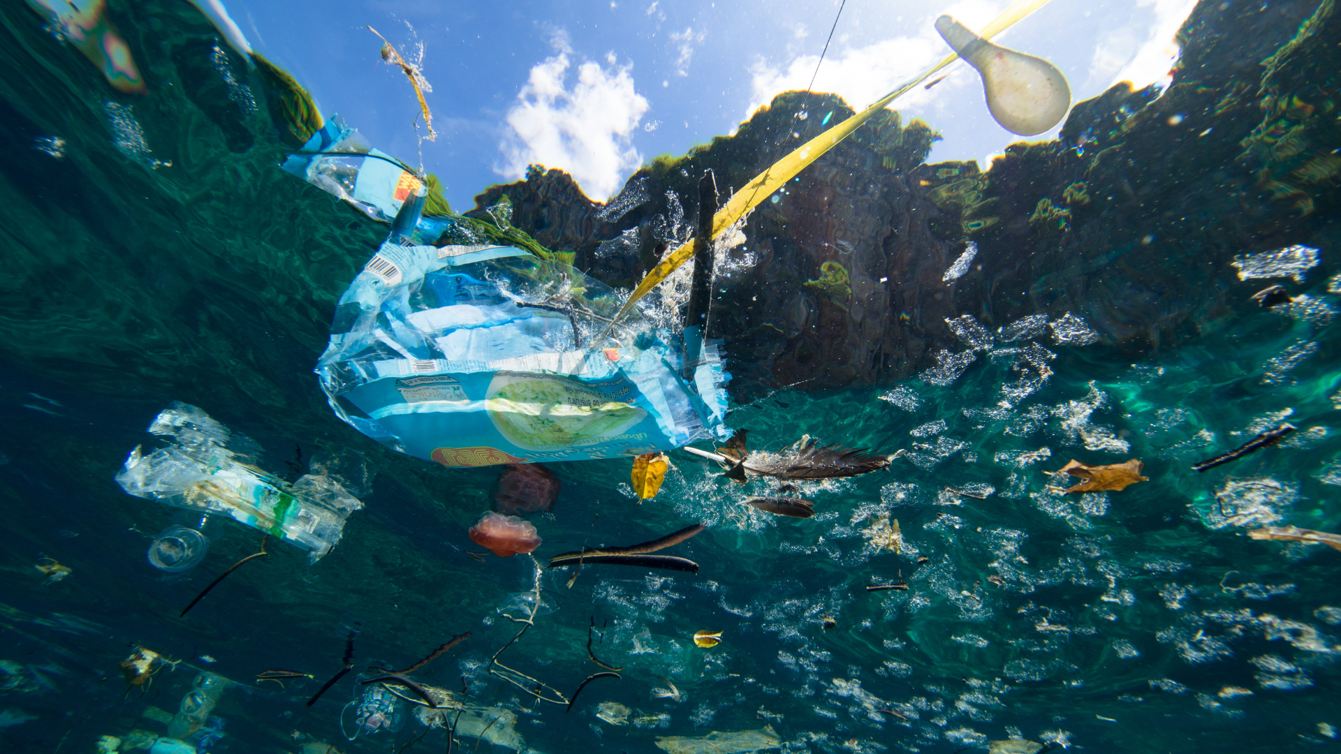 OZoola Beachlife teams up with Take 3 to clean up Australia’s oceans