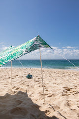 Palmy Beach Tent