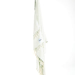 Ozoola Turkish beach towel in baby blue hanging