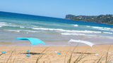 NEW Family Size Wave Break Beach Tent